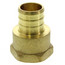 3/4" PEX x 1/2" NPT Brass Female Adapter (Lead Free)