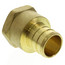 3/4" PEX x 1/2" NPT Brass Female Adapter (Lead Free)