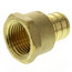 3/4" PEX x 1/2" NPT Brass Female Adapter (Lead Free)