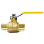 1" PEX x 1" PEX Ball Valve (Lead Free)