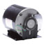 48Y Frame Totally Enclosed Resilient Base 3-Phase Motor (208-230/460V, 1725/1425 RPM, 1/4 HP)