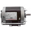 56 Frame Totally Enclosed Resilient Base 3-Phase Motor (200-230/460V, 1725 RPM, 3/4 HP)