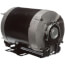 56 Frame Totally Enclosed Resilient Base 3-Phase Motor (200-230/460V, 1725 RPM, 3/4 HP)