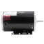 2 HP 230/460v General Purpose Motor, 3 PH, 1725 RPM, 56 Frame, ODP