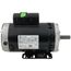 6-1/2" 3-Phase OPD Motor (460/208-230V, 3450 RPM, 5 HP)