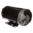 6-1/2" Carrier/BDP OEM Motor (208-230/460V, 1725 RPM, 3.0 HP)