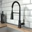 Joleena Semi-Pro Kitchen Faucet, 2-Spray, 1.75 GPM (Matte Black), 04792670