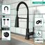 Joleena Semi-Pro Kitchen Faucet, 2-Spray, 1.75 GPM (Matte Black), 04792670