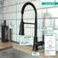 Joleena Semi-Pro Kitchen Faucet, 2-Spray, 1.75 GPM (Matte Black), 04792670
