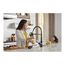 Joleena Semi-Pro Kitchen Faucet, 2-Spray, 1.75 GPM (Matte Black), 04792670