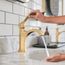 Locarno Single-Hole Bathroom Faucet 110 with Pop-Up Drain, 1.2 GPM (Brushed Gold Optic), 04810250