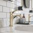 Locarno Single-Hole Bathroom Faucet 110 with Pop-Up Drain, 1.2 GPM (Brushed Nickel), 04810820