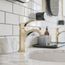Locarno Single-Hole Bathroom Faucet 110 with Pop-Up Drain, 1.2 GPM (Polished Nickel), 04810830
