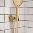 Locarno Handshower Holder with Outlet (Brushed Gold Optic), 04831250