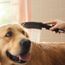Dog Shower + Quick Connect, 3-Spray, 1.75 GPM, (Black), 04973670