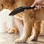 Dog Shower + Quick Connect, 3-Spray, 1.75 GPM, (Black), 04973670