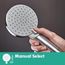 Vernis Blend Handshower 100 Vario-Jet, 1.75 GPM (Chrome), 26340001