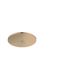 Raindance S Showerhead 240 1-Jet PowderRain, 2.5 GPM (Brushed Bronze), 27624141