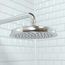Raindance Classic Showerhead 180 1-Jet, 2.5 GPM (Chrome), 28421001