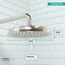 Raindance Classic Showerhead 180 1-Jet, 2.5 GPM (Polished Nickel), 28421831