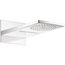 Raindance Rainfall Showerhead 180 2-Jet Trim, 2.5 GPM (Chrome), 28433001