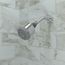 Clubmaster Showerhead 3-Jet, 2.5 GPM (Chrome), 28496001