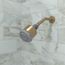 Clubmaster Showerhead 3-Jet, 2.5 GPM (Brushed Bronze), 28496141