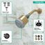 Clubmaster Showerhead 3-Jet, 2.5 GPM (Brushed Bronze), 28496141