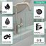 Focus Single-Hole Bathroom Faucet 240 with Swivel Spout and Pop-Up Drain, 1.2 GPM (Brushed Nickel), 31609821