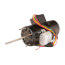1/10 HP CW 208-230V 3200 RPM 1Ph Draft Inducer Motor, HC34GZ230