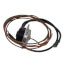 Rollout Switch, HH22HA194