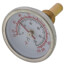 Replacement Temp. Gauge for Bluefin Manifolds