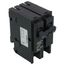 Homeline 2 Pole Miniature Circuit Breaker (120/240V, 125A)