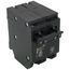Homeline 2 Pole Miniature Tandem Circuit Breaker (120/240V, 15A)
