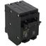 Homeline 2 Pole Miniature Tandem Circuit Breaker (120/240V, 15/30A)