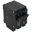 Homeline 2 Pole Miniature Tandem Circuit Breaker (120/240V, 20A)