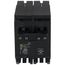 Homeline 2 Pole Miniature Tandem Circuit Breaker (120/240V, 20A)