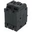 Homeline 2 Pole Miniature Tandem Circuit Breaker (120/240V, 20/30A)