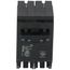 Homeline 2 Pole Miniature Tandem Circuit Breaker (120/240V, 20/40A)
