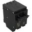 Homeline 2 Pole Miniature Tandem Circuit Breaker (120/240V, 25/30A)