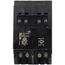 Homeline 2 Pole Miniature Tandem Circuit Breaker (120/240V, 25/30A)