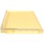 Water Plate, 208020G01
