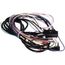 Harness - Wiring, 3A9838-01