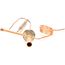 Expansion Valve, 443981-01