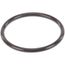 O Ring, 7616-P048