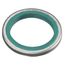 1-1/2" Sealing O-Ring, Zinc-Plated Steel with Neoprene Ring, 20509005