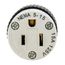 15 A 125 V 2-Pole 3-Wire Nema 5-15R Nylon Straight Blade Plug And Connector (Black/White)