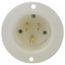 Straight Blade Single Receptacle, NEMA 5-15P, 15A, Self-Grounding, HBL5278C