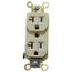 Straight Blade Duplex Receptacle, NEMA 5-20R, 20 Amps, Self-Grounding, Ivory, HBL5352I