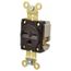 Straight Blade Single Receptacle, NEMA 6-15R, 15A, Self-Grounding, Brown, HBL5661
